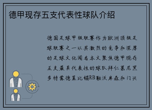 德甲现存五支代表性球队介绍