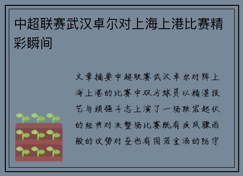 中超联赛武汉卓尔对上海上港比赛精彩瞬间